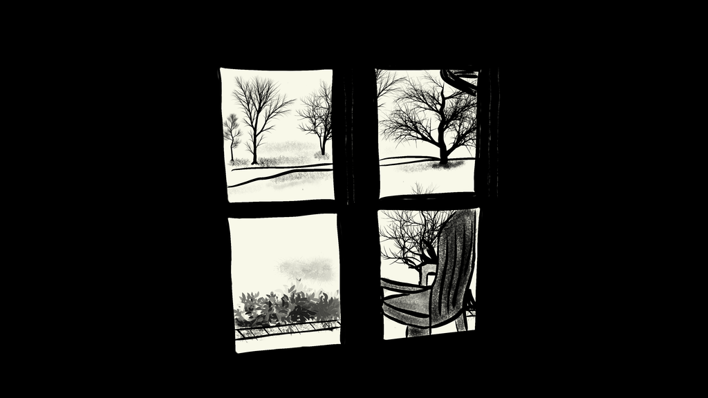 The view from my window - a glimpse of my garden